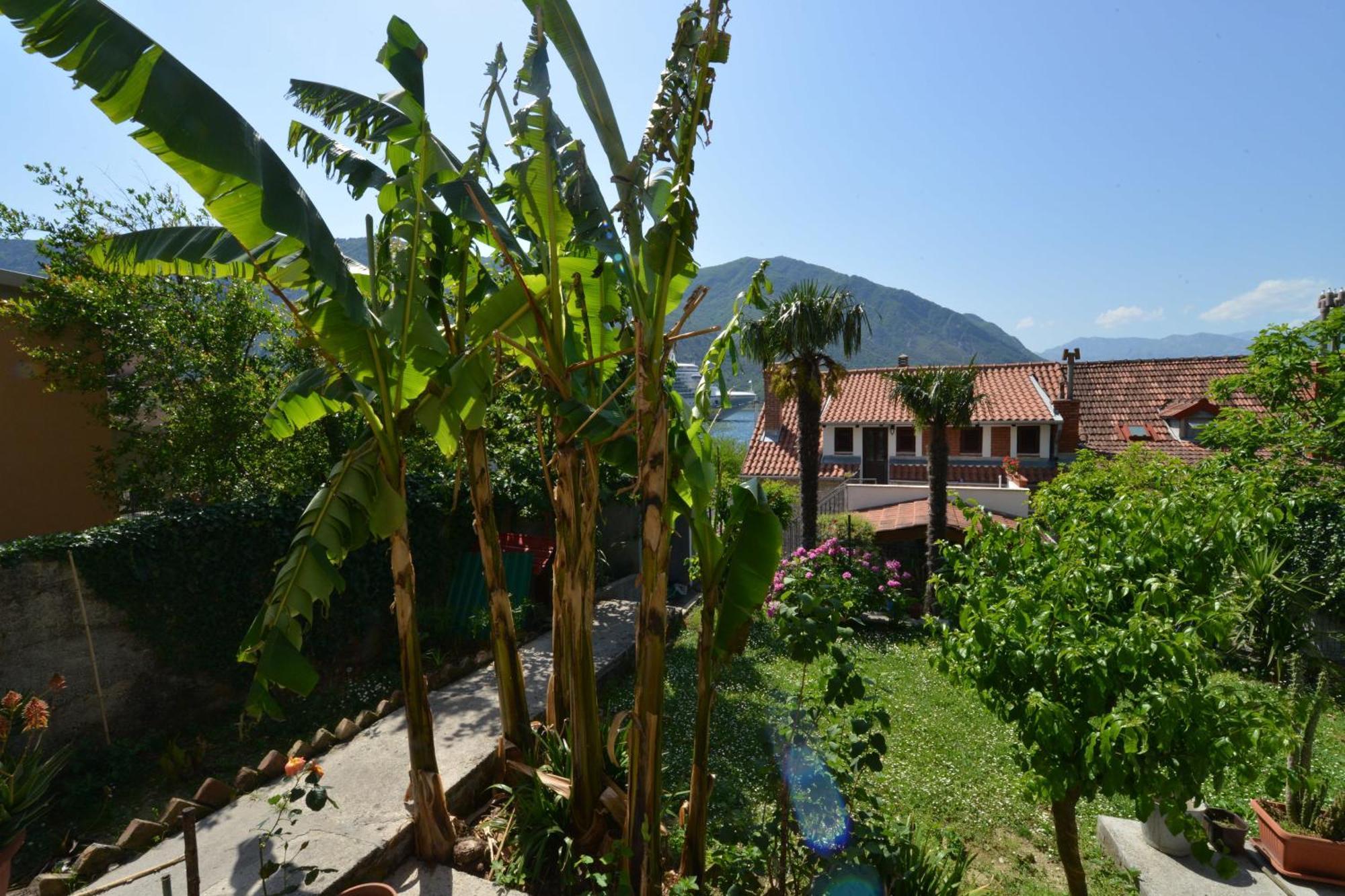Apartments Popovic 2 Kotor Cameră foto