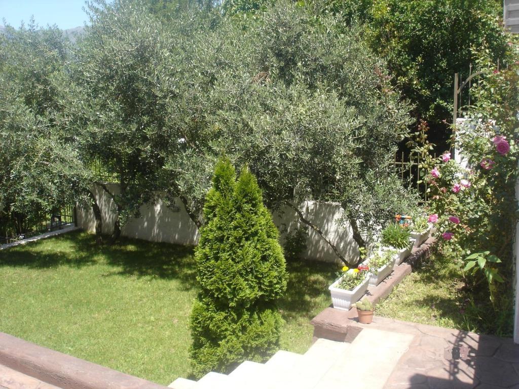 Apartments Popovic 2 Kotor Exterior foto