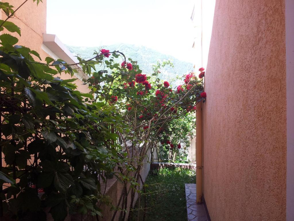 Apartments Popovic 2 Kotor Exterior foto